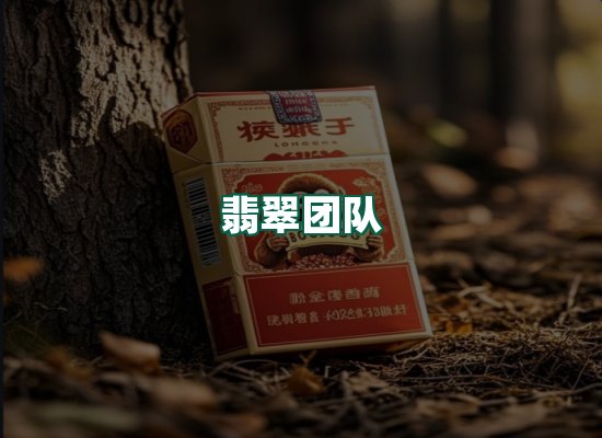 翡翠团队
